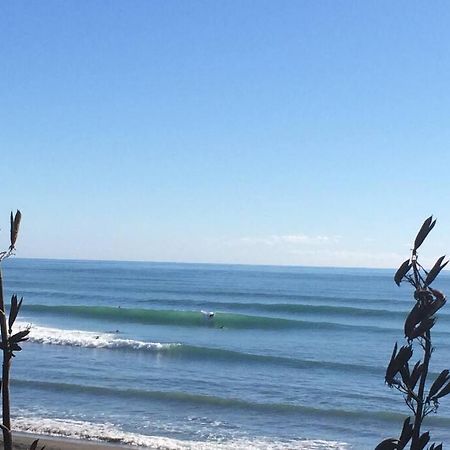 Oakura Pond Cottage - A Unique Kiwi Holiday Bach Екстериор снимка
