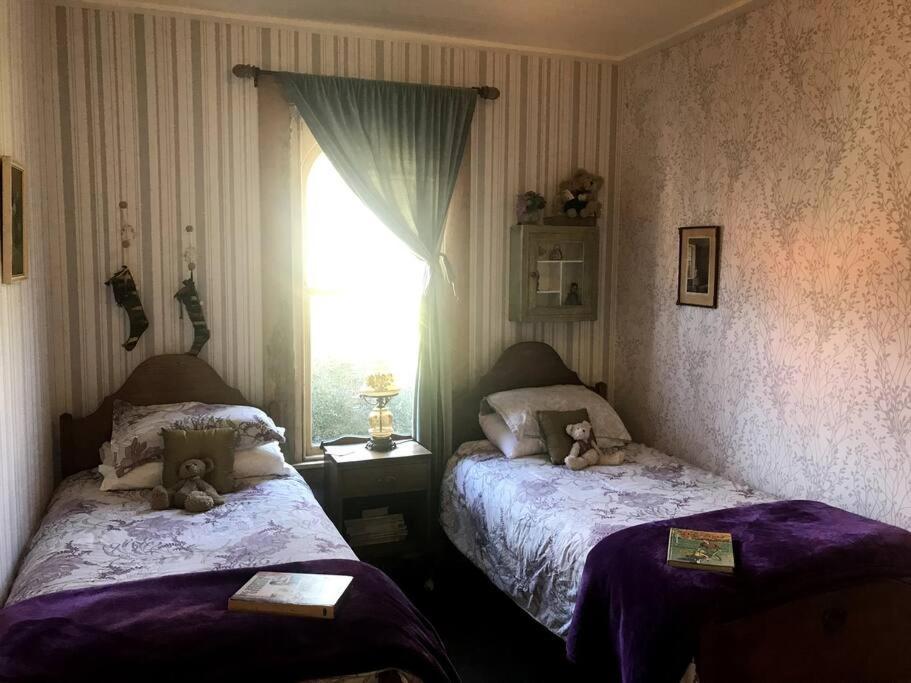 Oakura Pond Cottage - A Unique Kiwi Holiday Bach Екстериор снимка