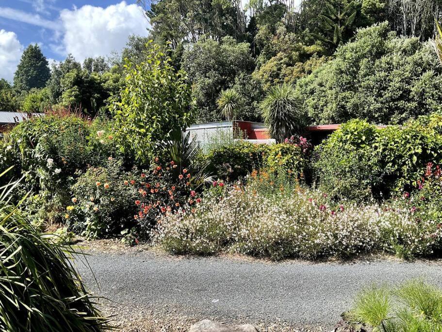 Oakura Pond Cottage - A Unique Kiwi Holiday Bach Екстериор снимка