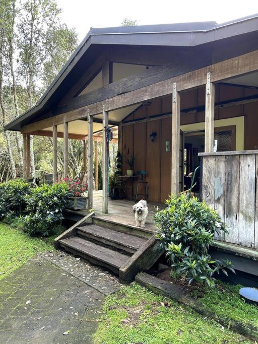 Oakura Pond Cottage - A Unique Kiwi Holiday Bach Екстериор снимка
