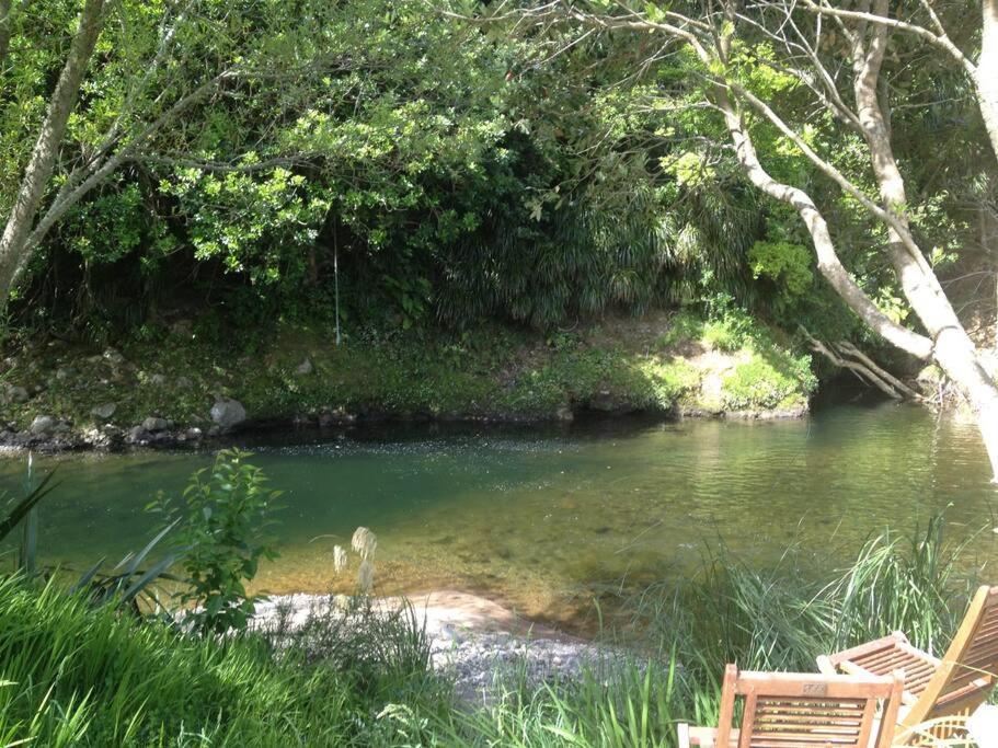 Oakura Pond Cottage - A Unique Kiwi Holiday Bach Екстериор снимка